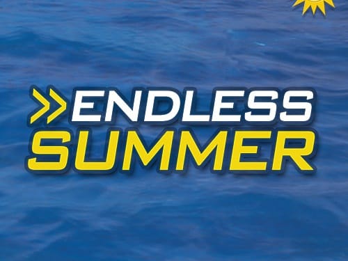 Endless Summer game icon